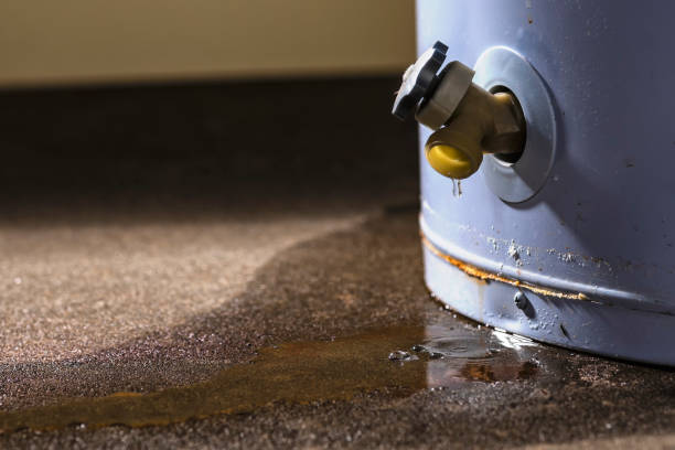 Best Carpet water damage restoration  in New Lno, LA