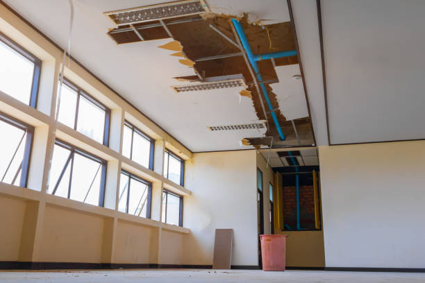 Best Local water damage restoration  in New Lno, LA