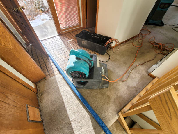 Sewage cleanup and water damage restoration in LA