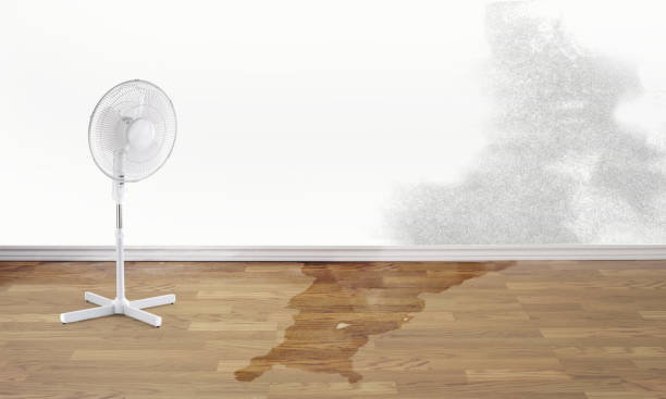 Reliable LA Water damage restoration Solutions