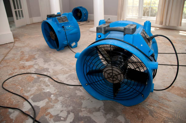 Best 24-hour water damage restoration  in New Lno, LA