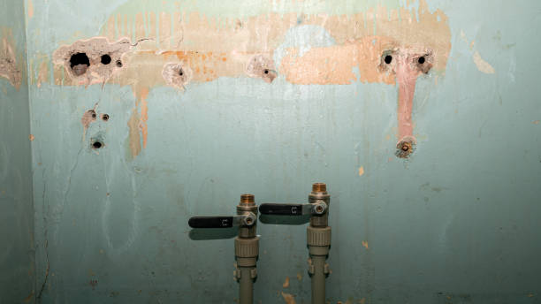 Best Water damage restoration near me  in New Lno, LA