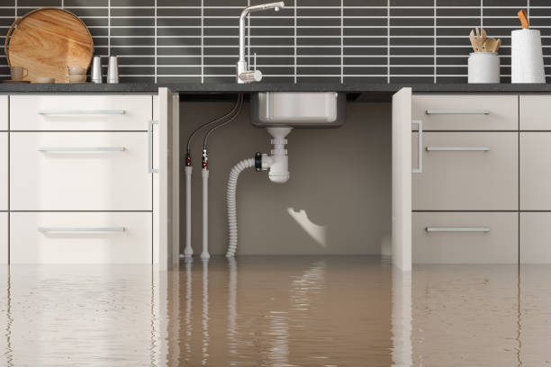 Best Water damage restoration near me  in New Lno, LA