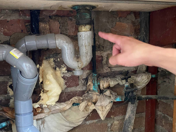  New Lno, LA Water damage restoration Pros