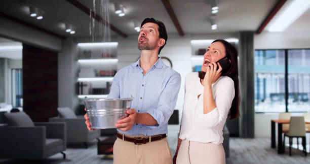 Best Water damage cleanup near me  in New Lno, LA