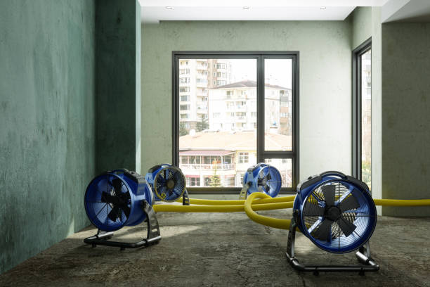 Water damage restoration process in LA
