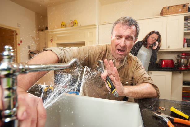 Best Mold removal after water damage  in New Lno, LA